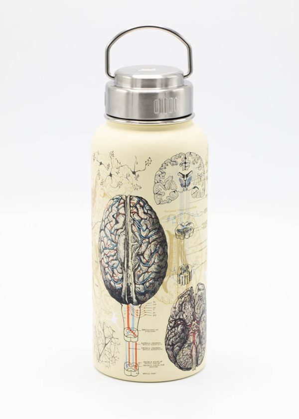 Succubus Home Brain & Neuroscience Stalen 950ml Thermosfles Verkauf