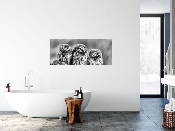 Drei Eulen auf Ast, Glasbild Panorama Schn?ppchen – Bild 4