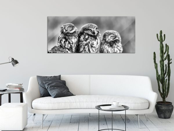 Drei Eulen auf Ast, Glasbild Panorama Schn?ppchen – Bild 2