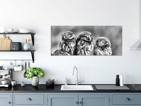 Drei Eulen auf Ast, Glasbild Panorama Schn?ppchen – Bild 3