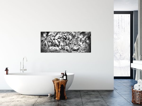 Leopard mit Jungtier, Glasbild Panorama Online – Bild 4